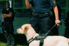 polis-m-hund
